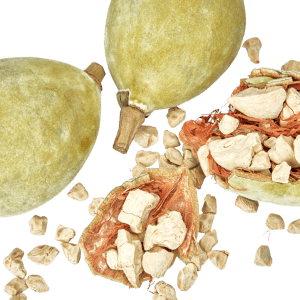 Adansonia Digitata (Baobab) Seed Oil Adansonia Digitata (Baobab) Seed Oil