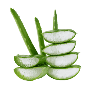 Aloe Barbadensis Leaf Juice Aloe Barbadensis Leaf Juice