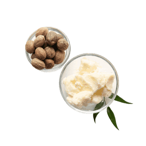 Butyrospermum Parkii (Shea) Butter