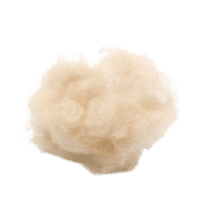 Hydrolyzed Keratin