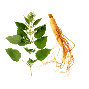 Lamium Album (White Nettle) Flower Extract & Panax Ginseng Root Extract