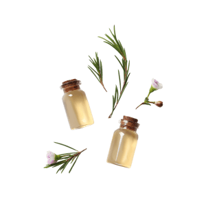 Rosmarinus Officinalis (Rosemary) Leaf Extract Rosmarinus Officinalis (Rosemary) Leaf Extract