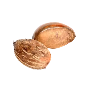 Shea Butter Ethyl Esters