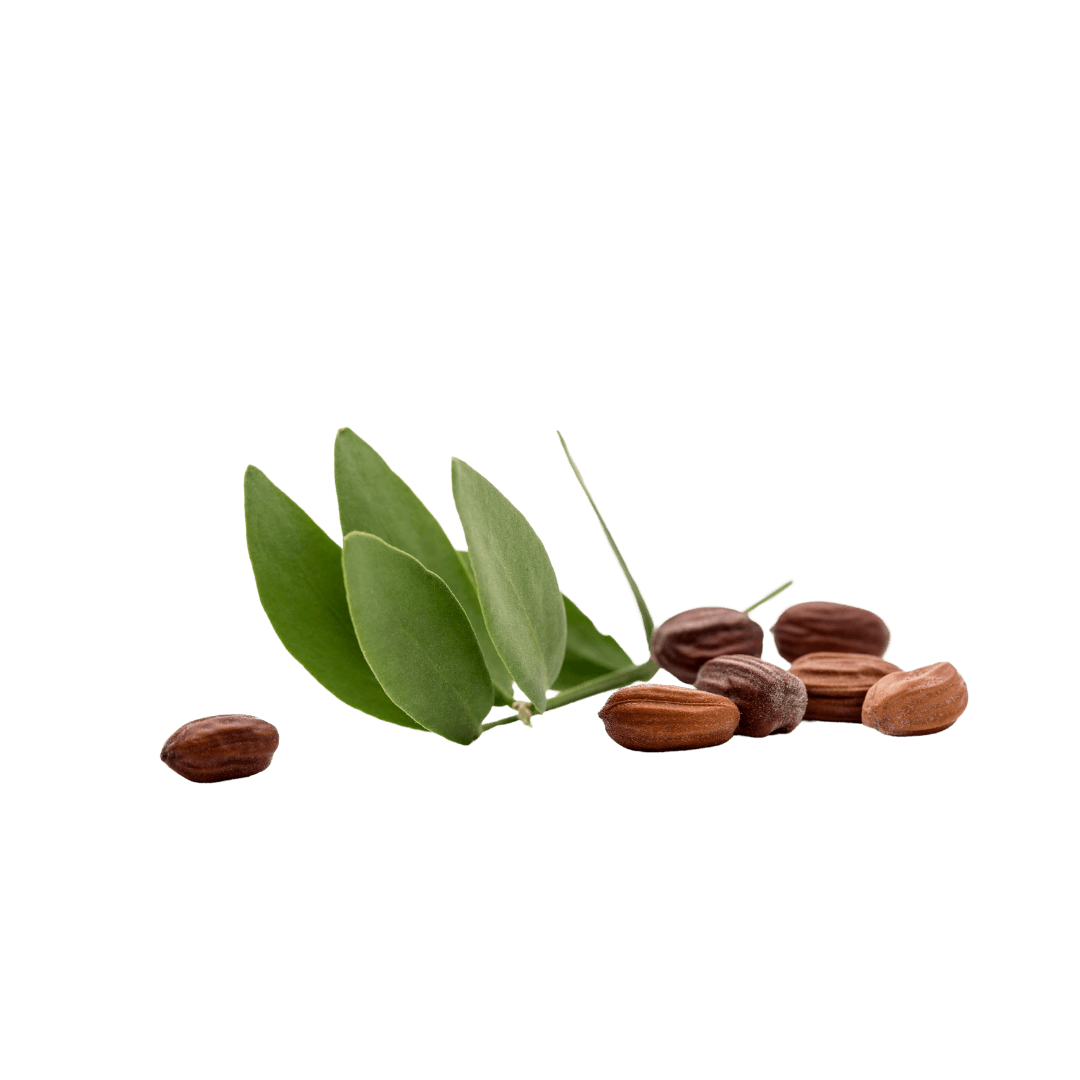 Simmondsia Chinensis (Jojoba) Seed Oil
