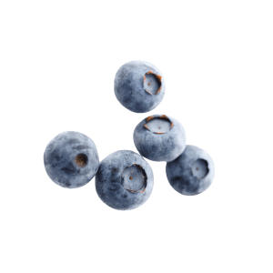 Vaccinium Myrtillus (Bilberry) Fruit Extract Vaccinium Myrtillus (Bilberry) Fruit Extract