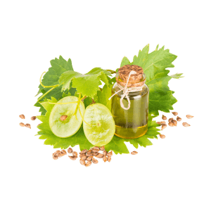 Vitis Vinifera (Grape) Seed Oil Vitis Vinifera (Grape) Seed Oil