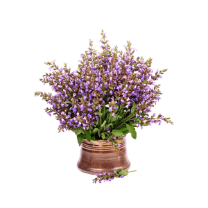 ambroxan