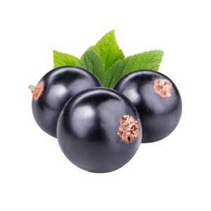 blackcurrant