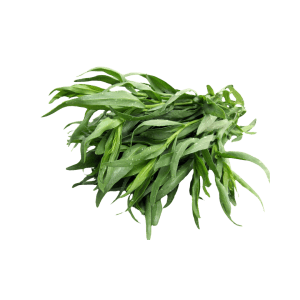 tarragon