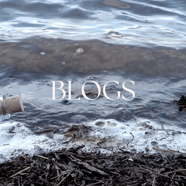 blogs