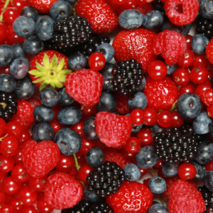 Red berries