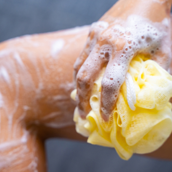 Fresh & Clean Body Wash